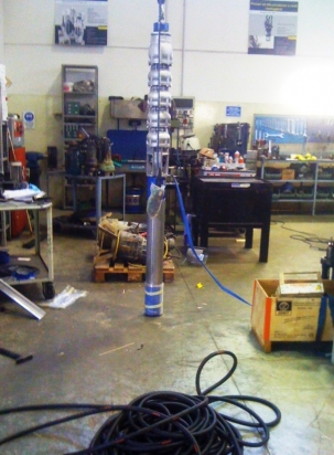 prodotti consigliati in base alle richieste del cliente (pompe in acciaio inox,bronzo,ghisa)